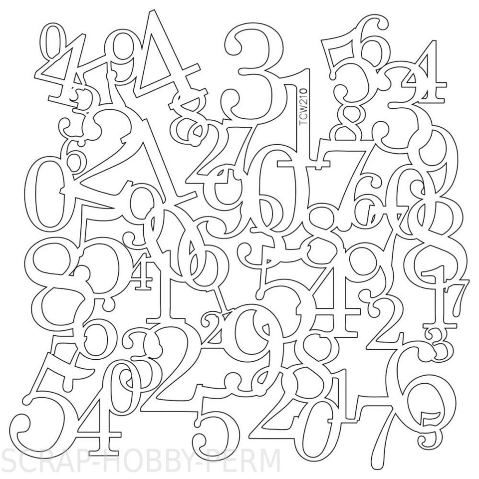 Найди и обведи по контуру