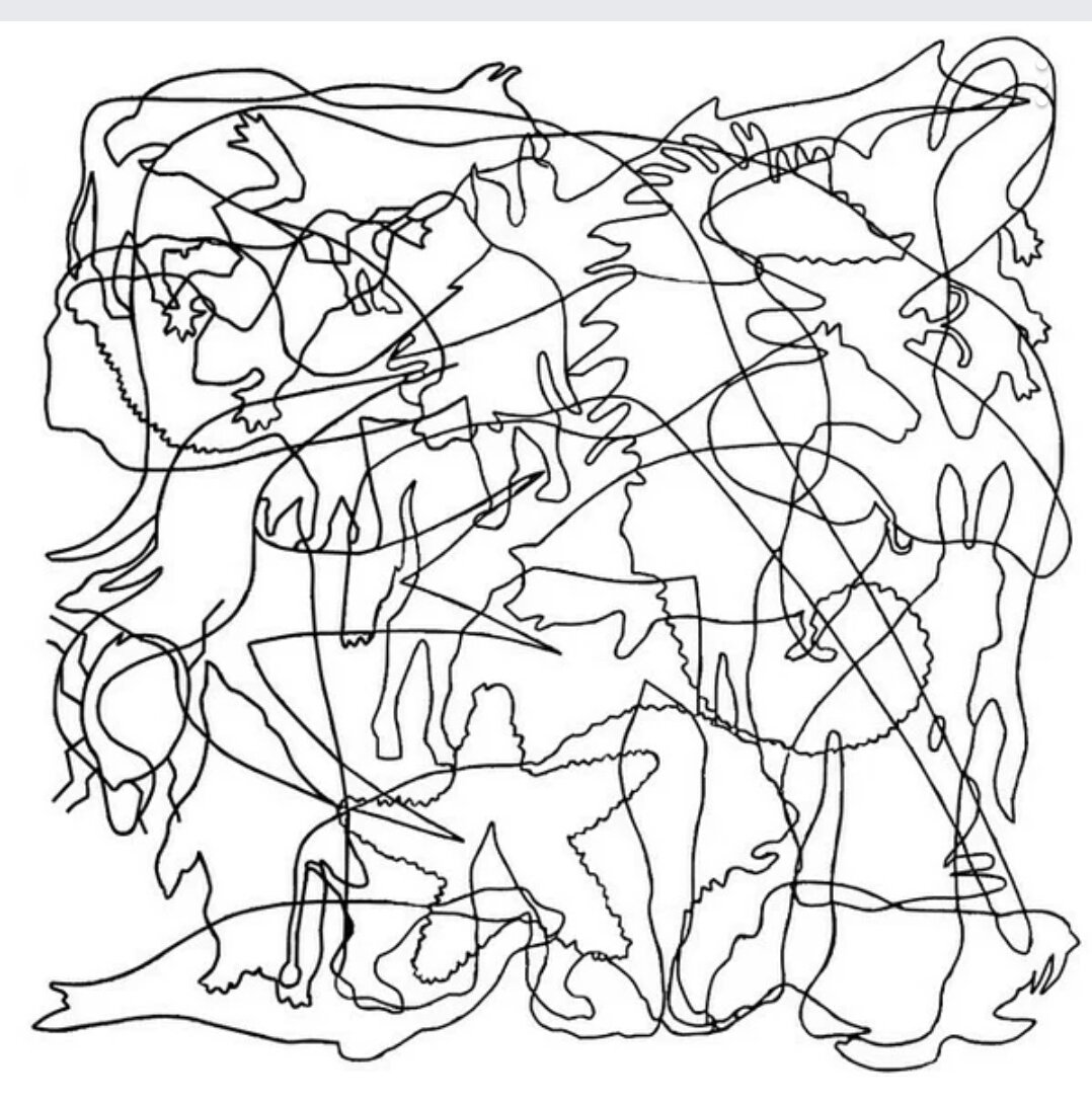 Домашние птицы раскраска с заданиями