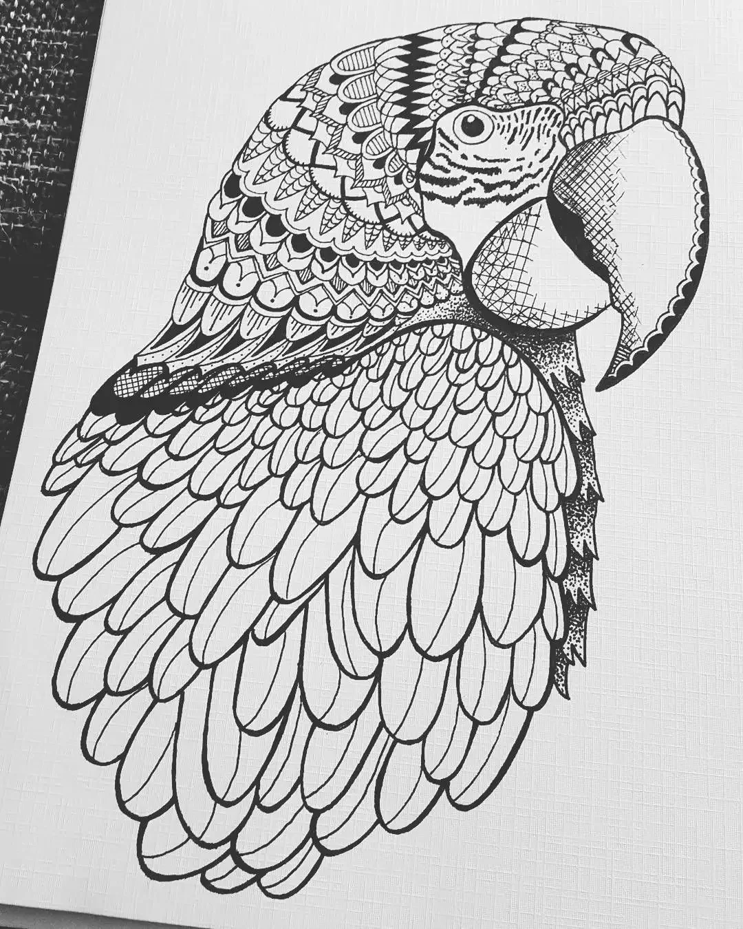 Тукан Зентангл