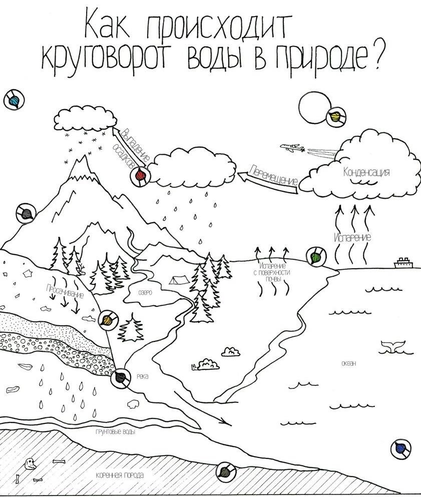Научные раскраски Чевостика