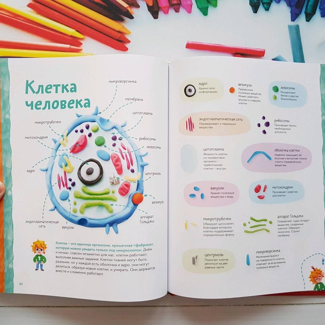 Чевостик космос из пластилина