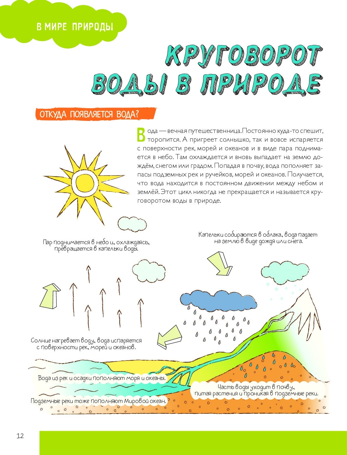 Опыты с Чевостиком