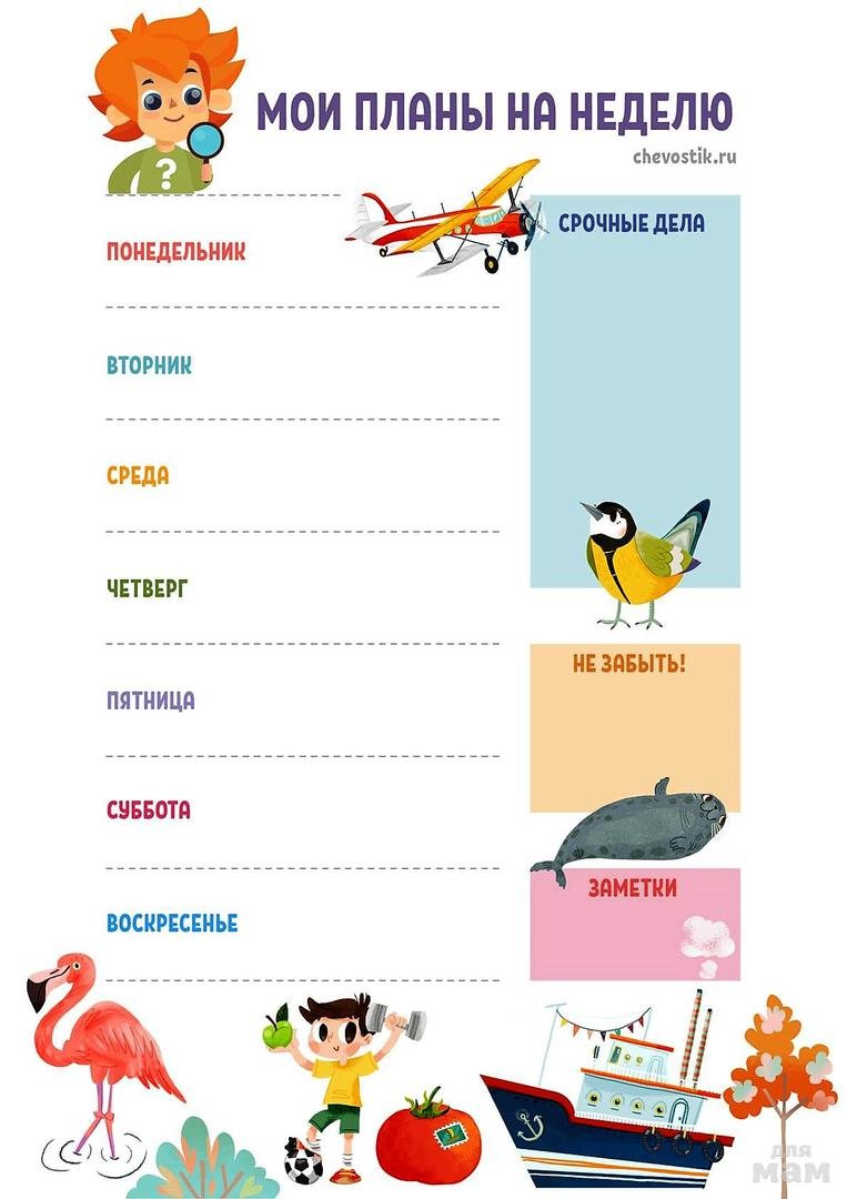 Клуб экспериментов Чевостика