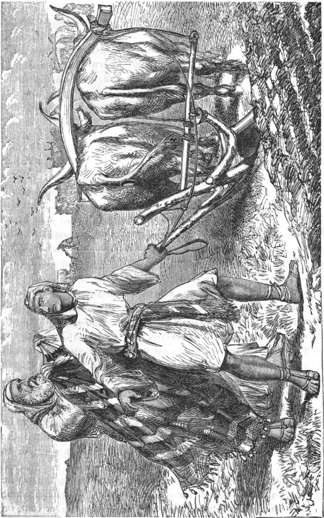 Елисей Библейский пророк