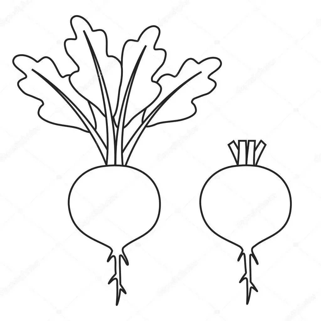 Редиска раскраска