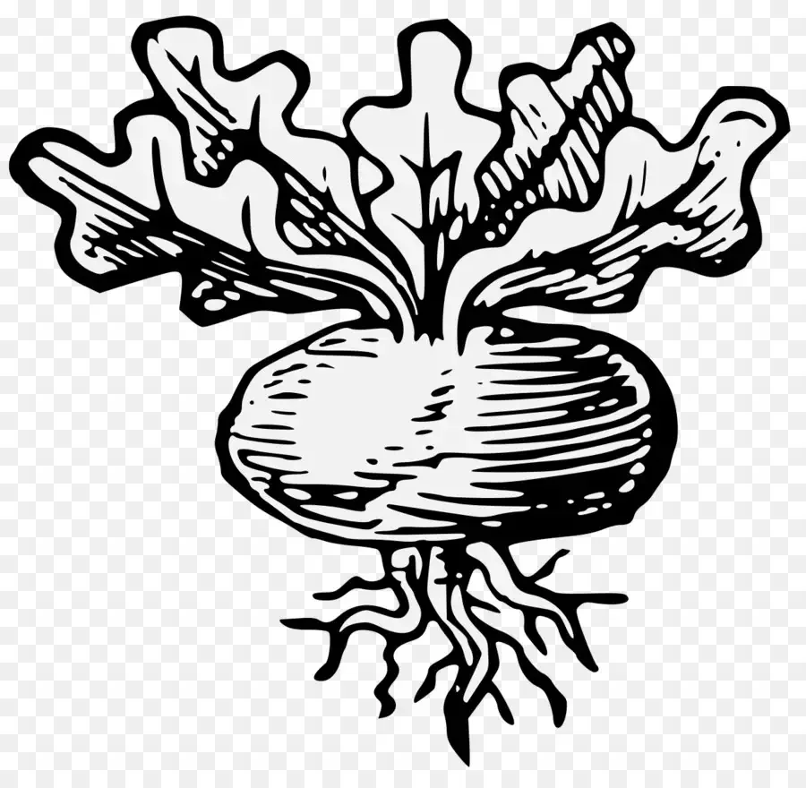 Морковь раскраска