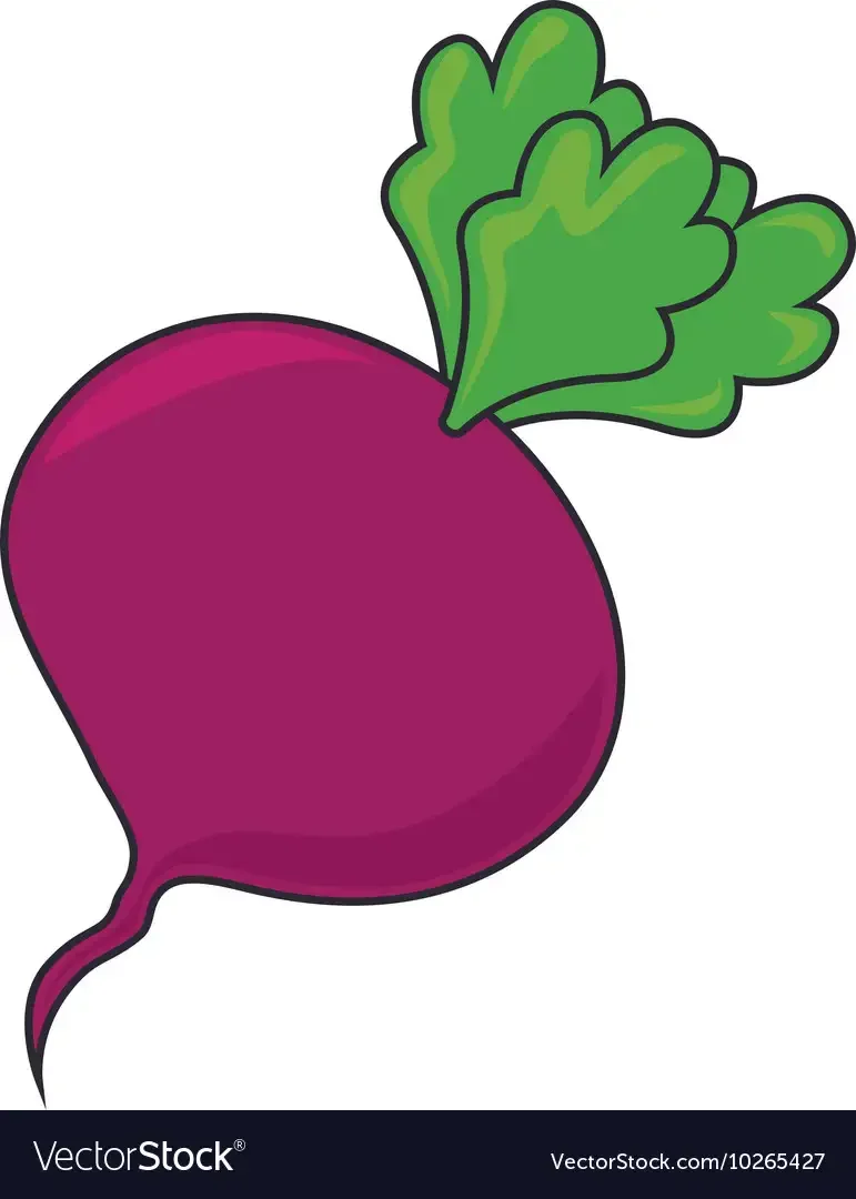 Свекла рисунок черной линией