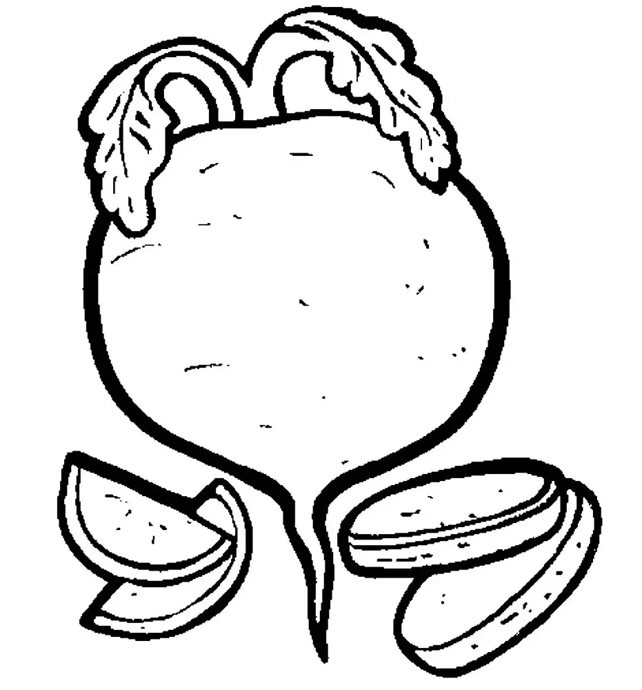 Корнеплоды раскраска для детей