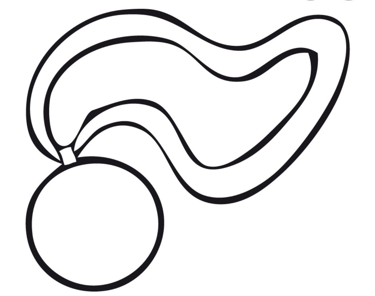 Медаль раскраска для детей