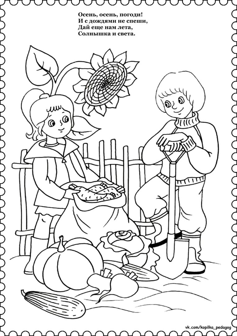 Раскраска Садовод