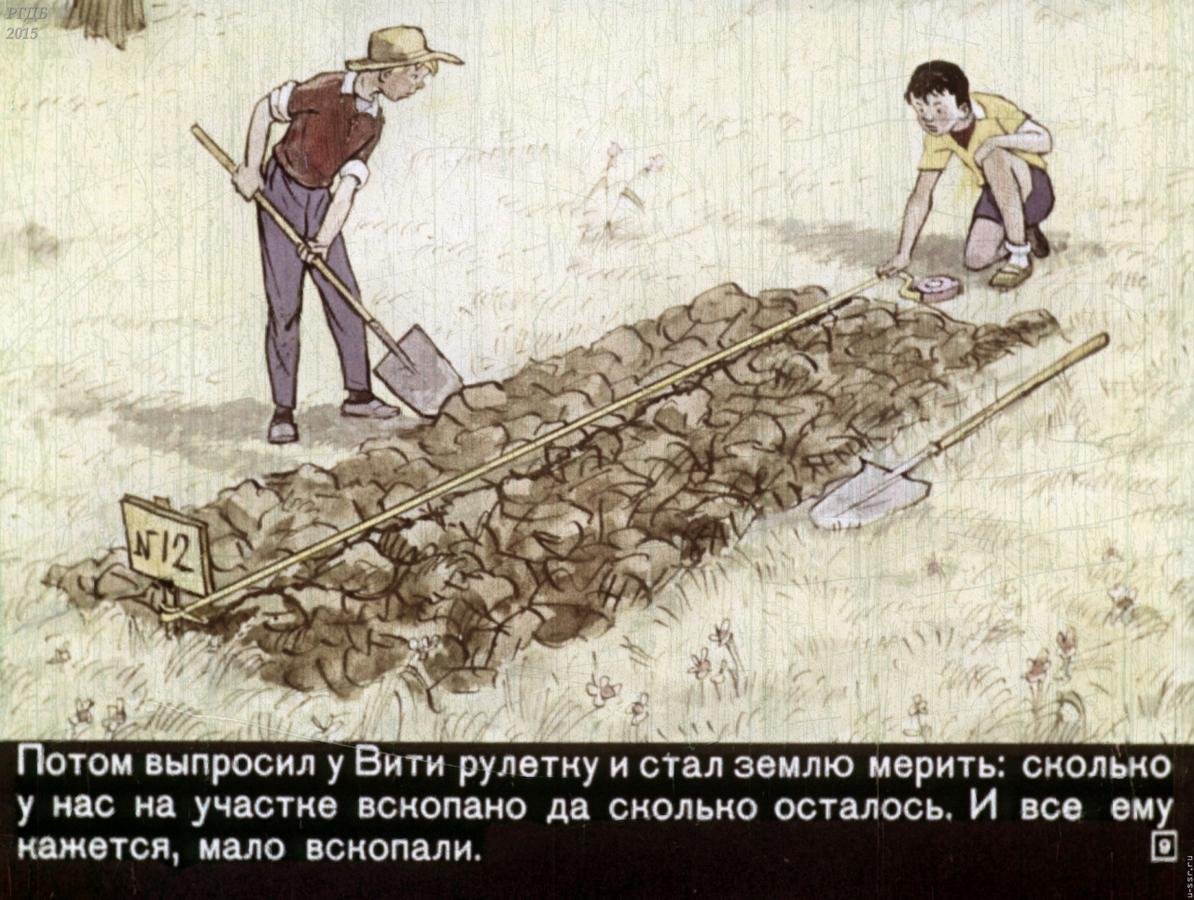 Николай Носов иллюстрации к книгам