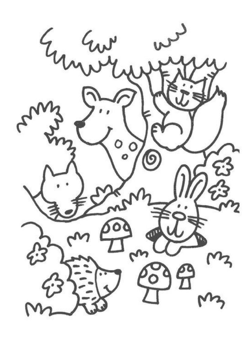 Лесные звери раскраска для детей