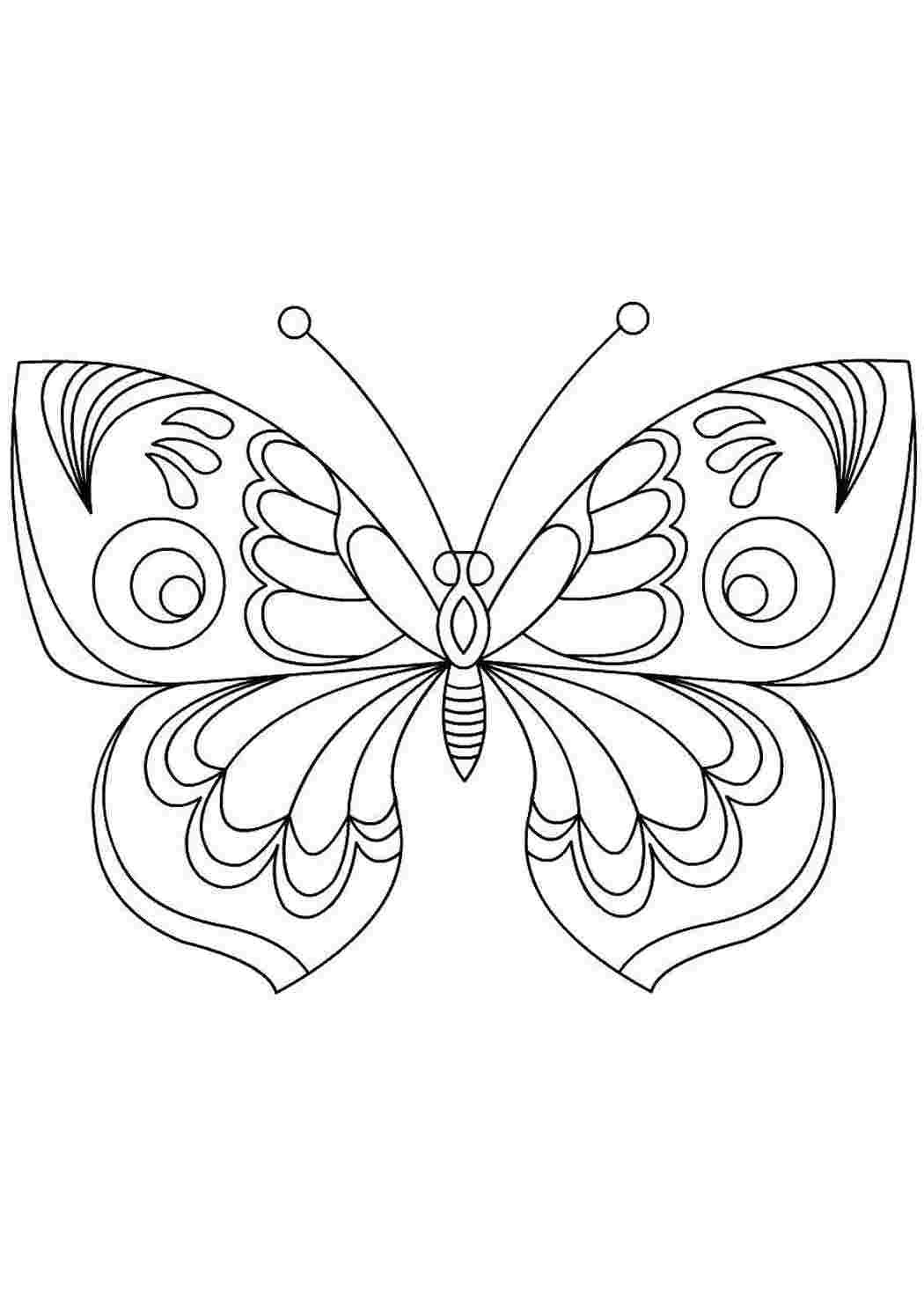 Раскраска "бабочки"