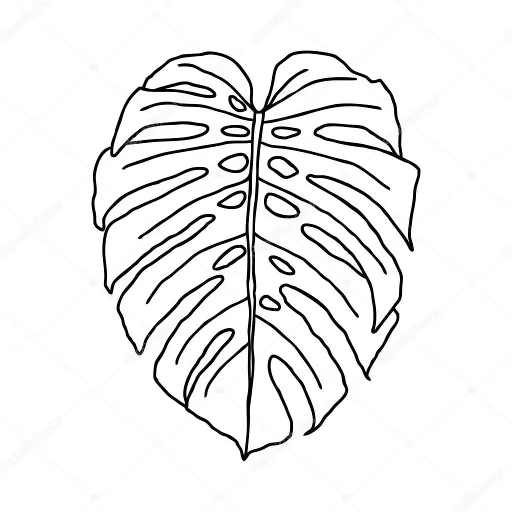 Лист монстеры для вырезания