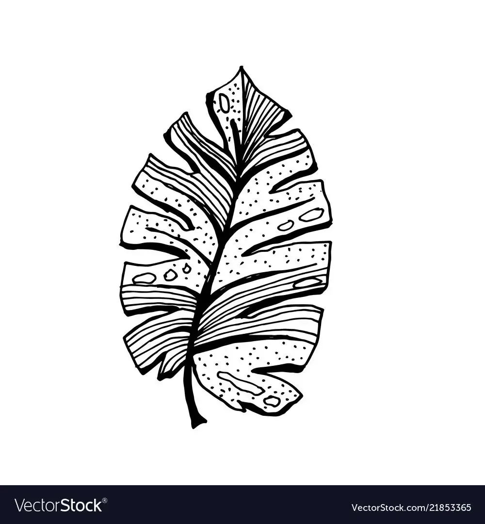Тропические листья скетч