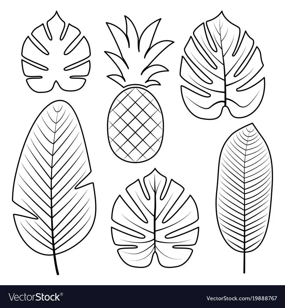 Лист пальмы СВГ