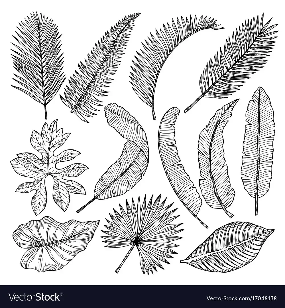 Трафареты "листья"