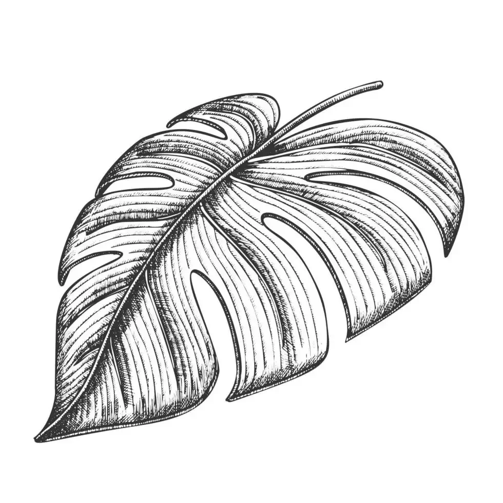 Трафарет тропических листьев и цветов