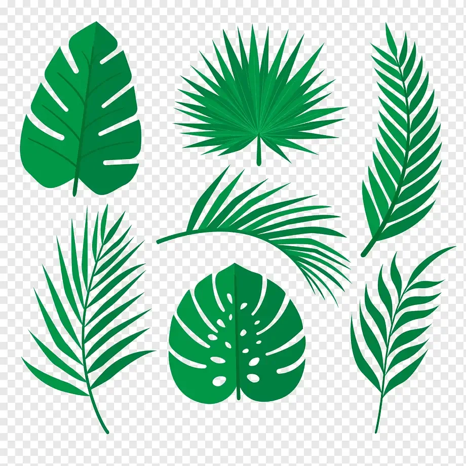 Лист монстеры одной линией