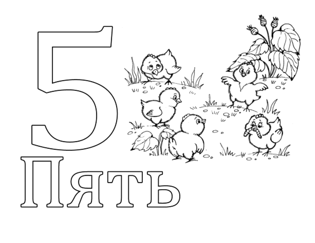 Раскраски загадки