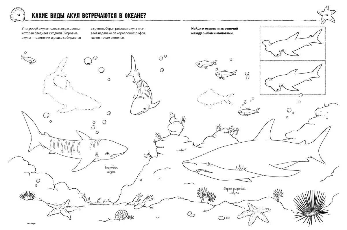 Акула задания для детей