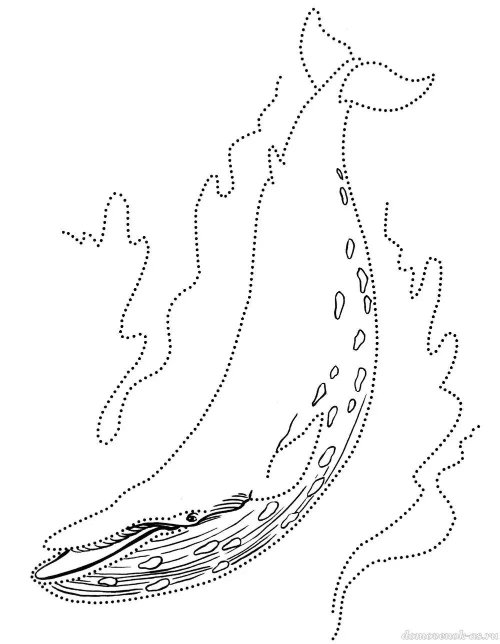 Соедини по точкам акула