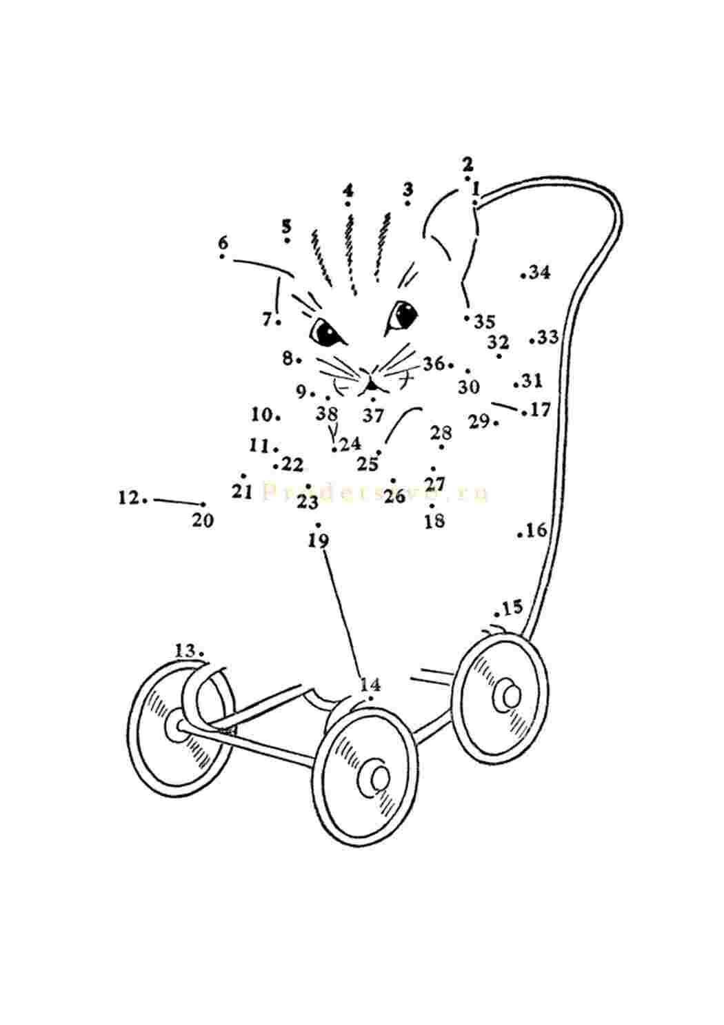 Созвездия соединить по точкам