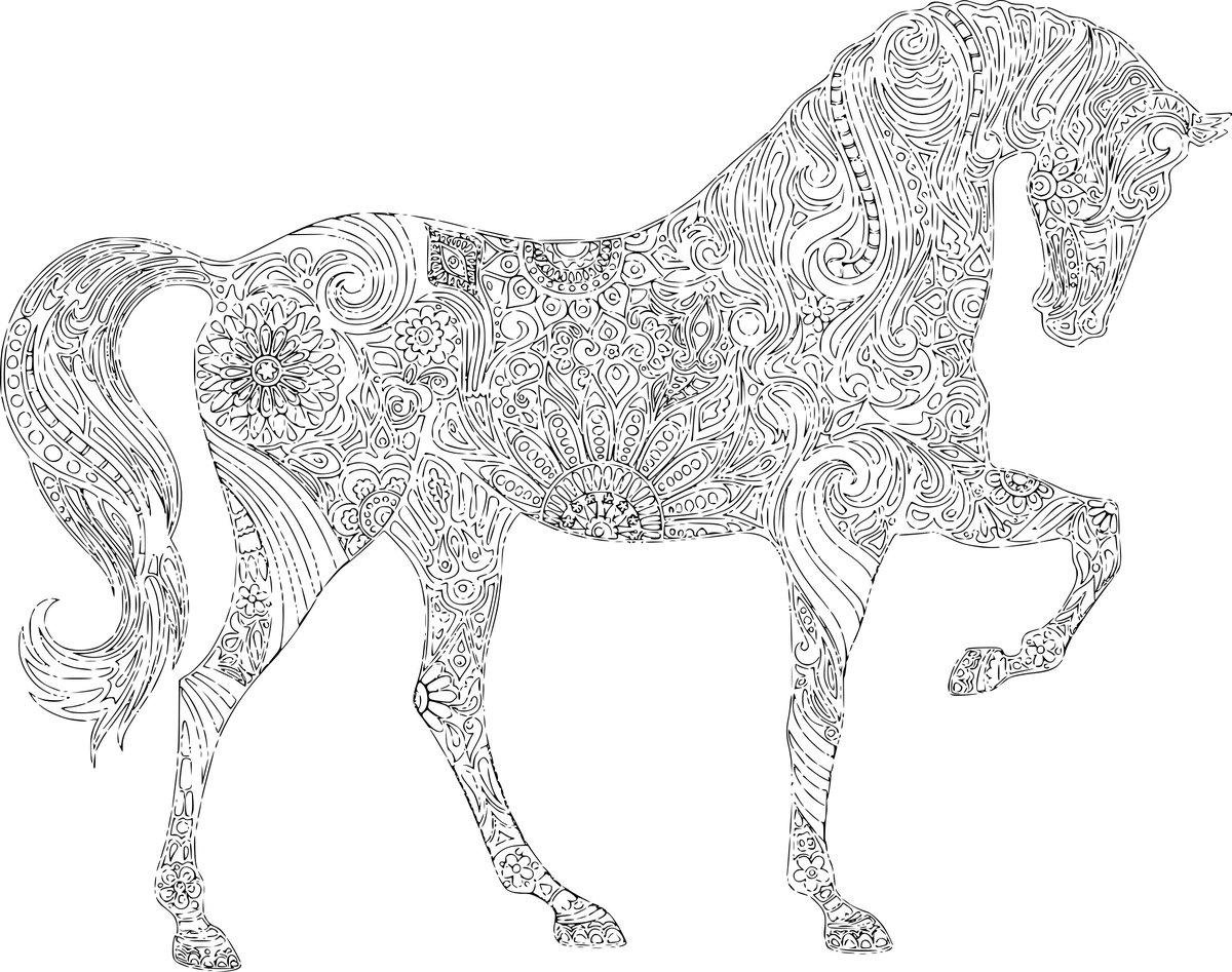 Лошадь раскраска для детей