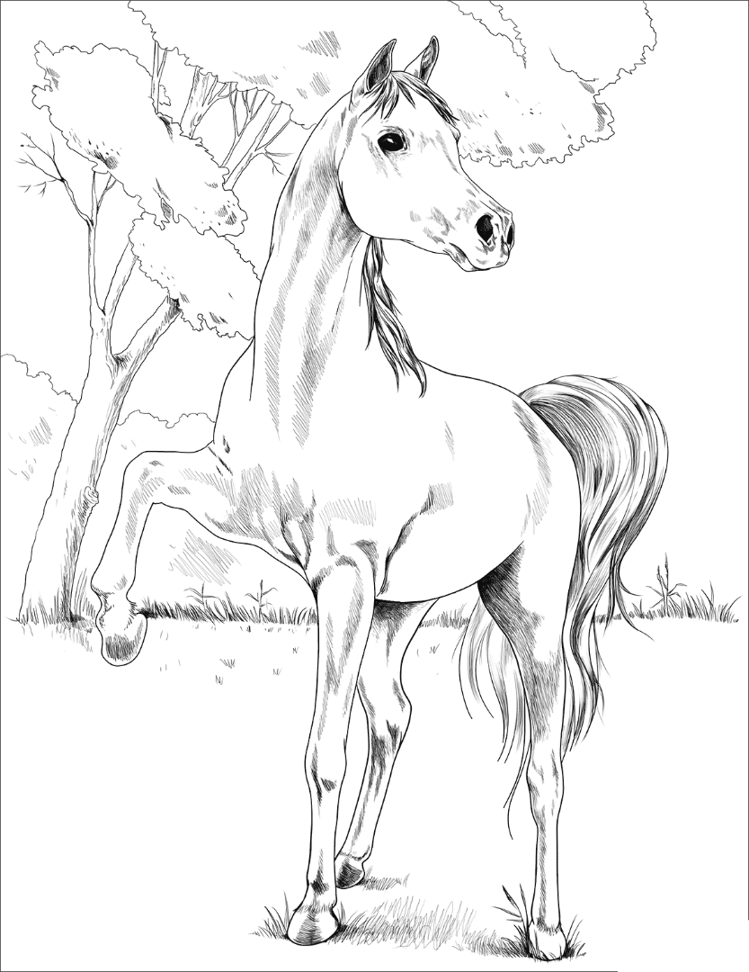 Лошадка антистресс