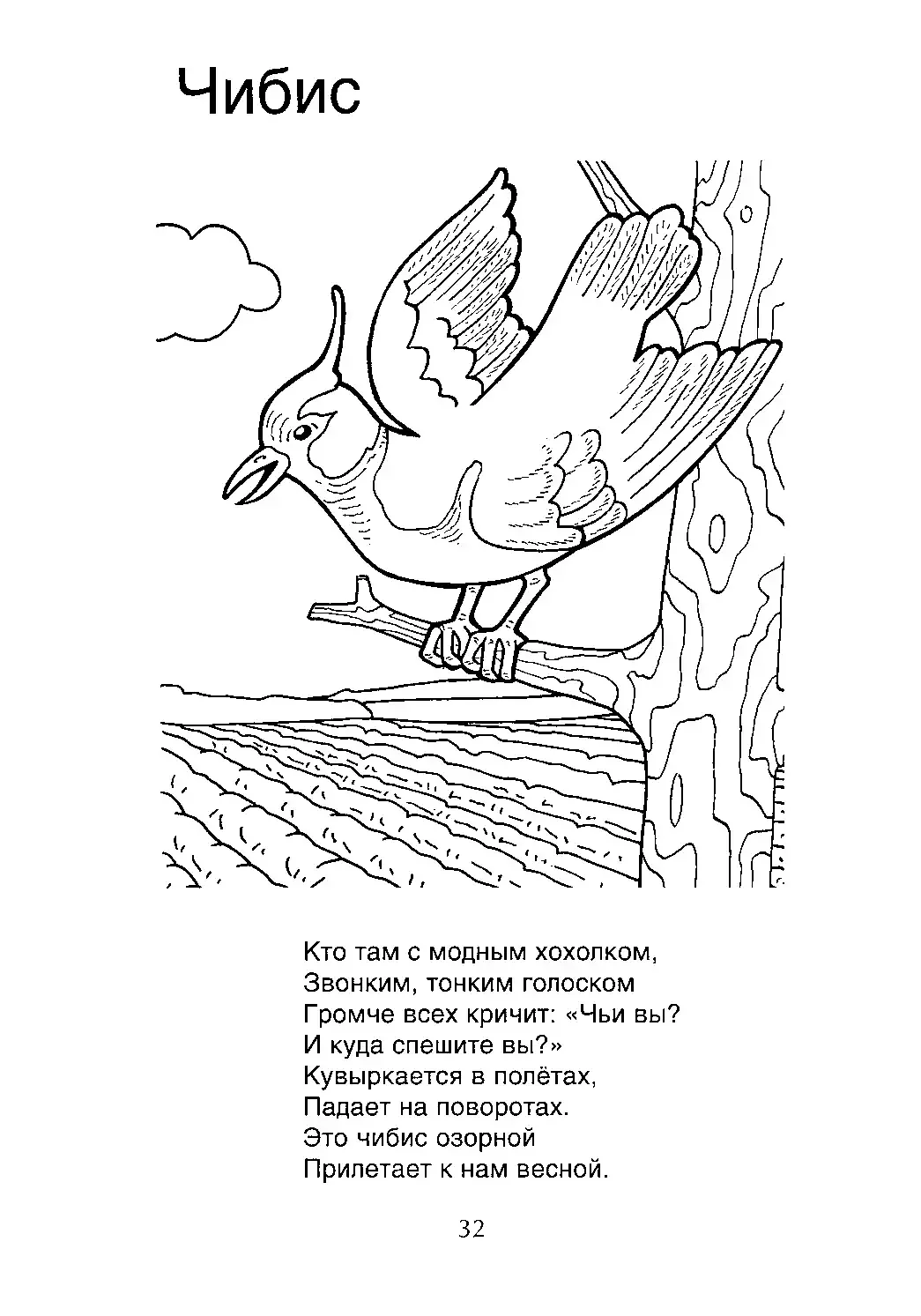 Колибри раскраска для детей