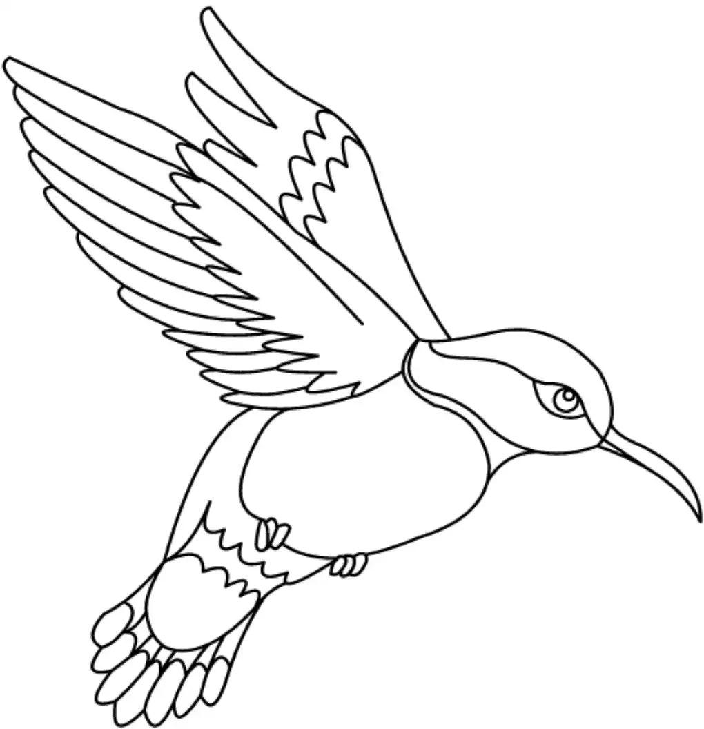 Птицы. Раскраска