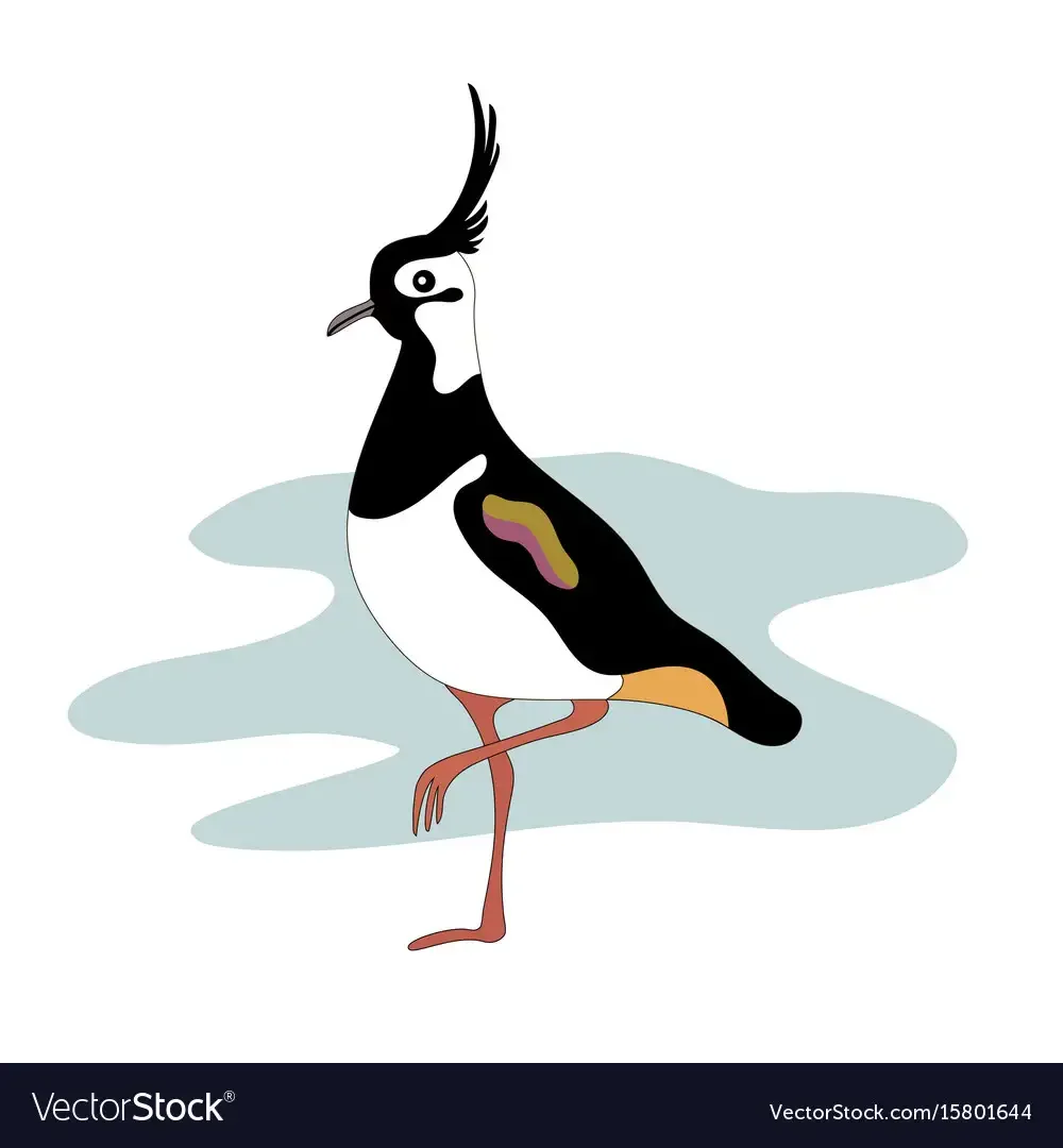 Раскраска птицы свиристель