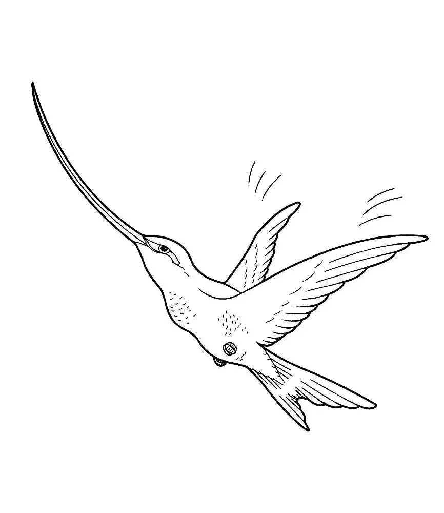 Птичка в полете раскраска для детей