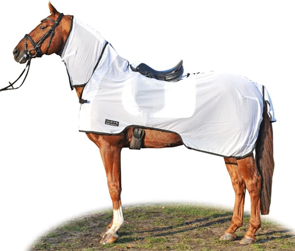 Как правильно подобрать попону для лошади l m