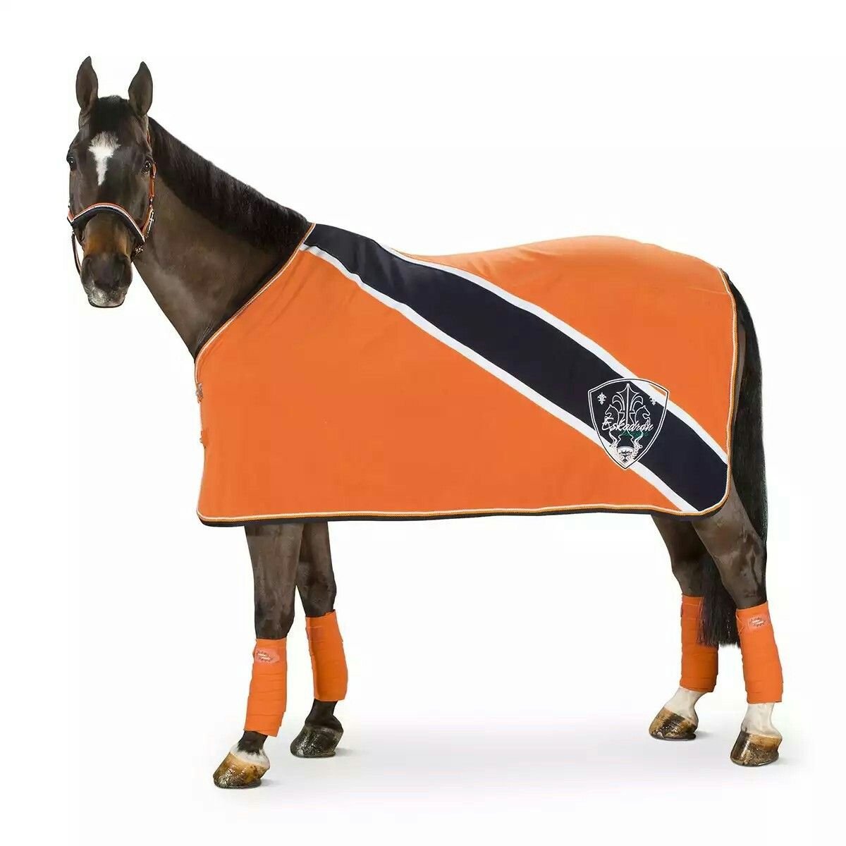 Лошадь с седлом раскраска для детей