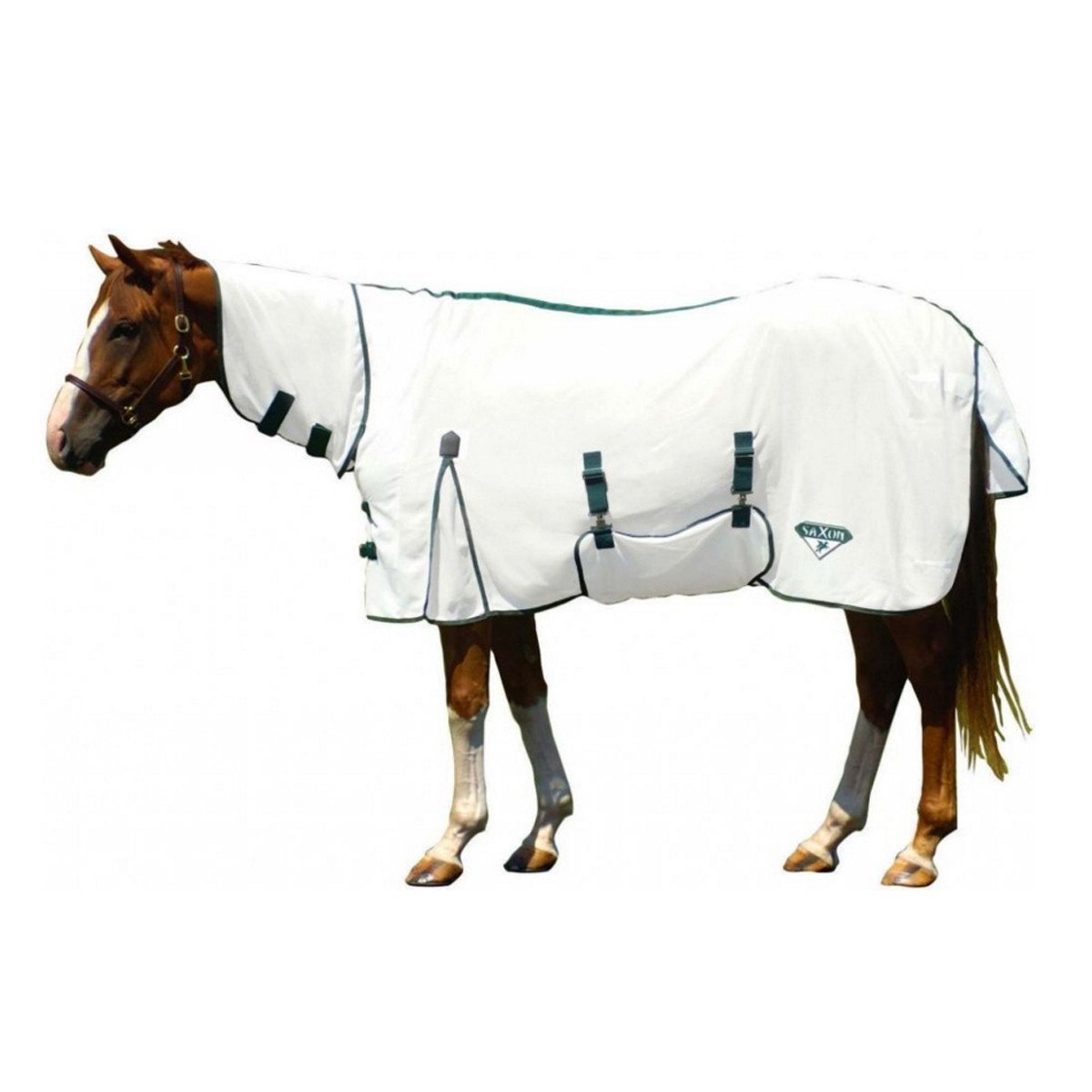 Foal Blanket
