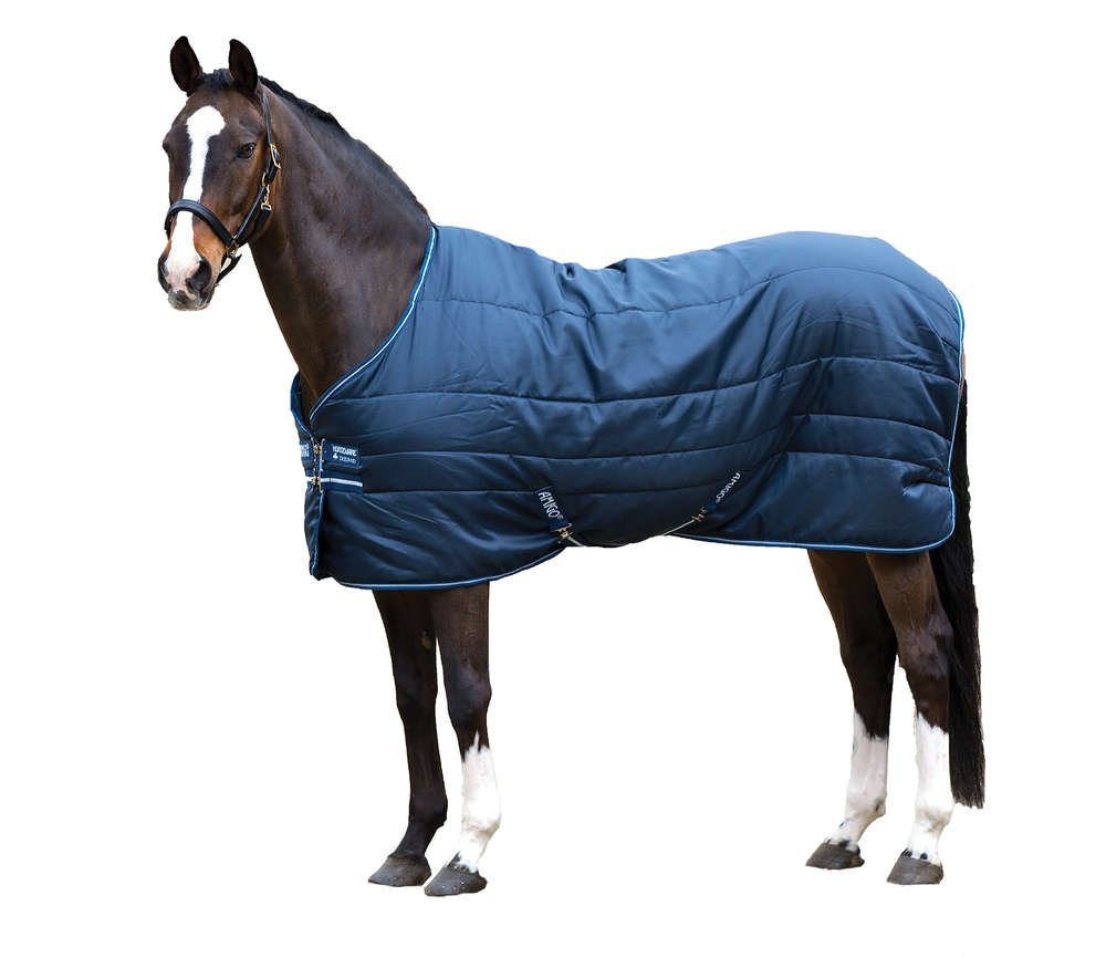 Конская упряжь в древней Руси