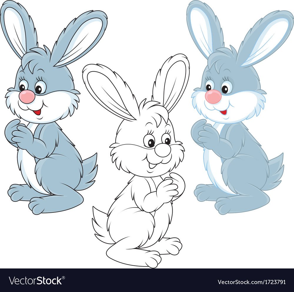 Мордашка зайца