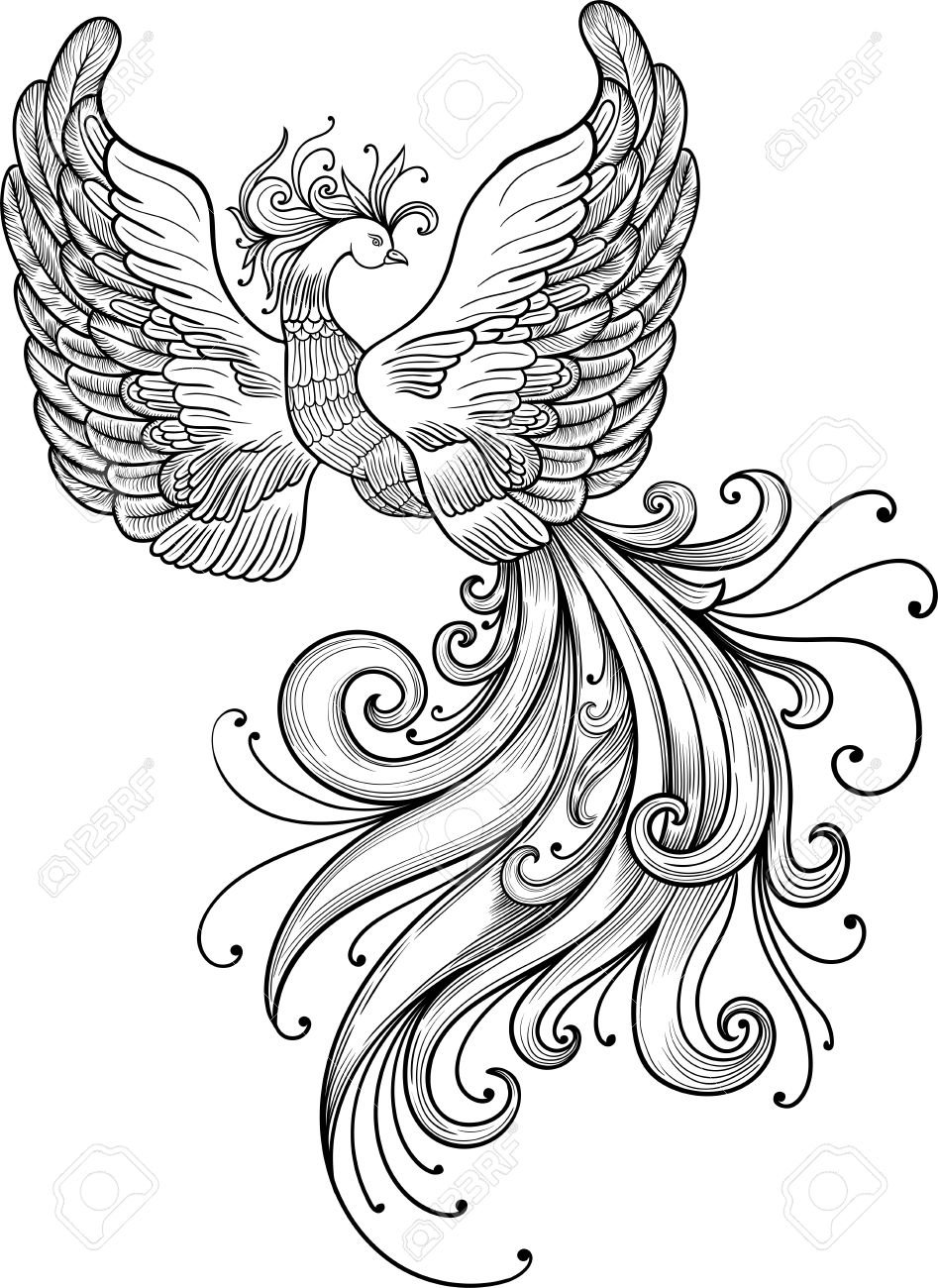 Жар птица рисунок карандашом