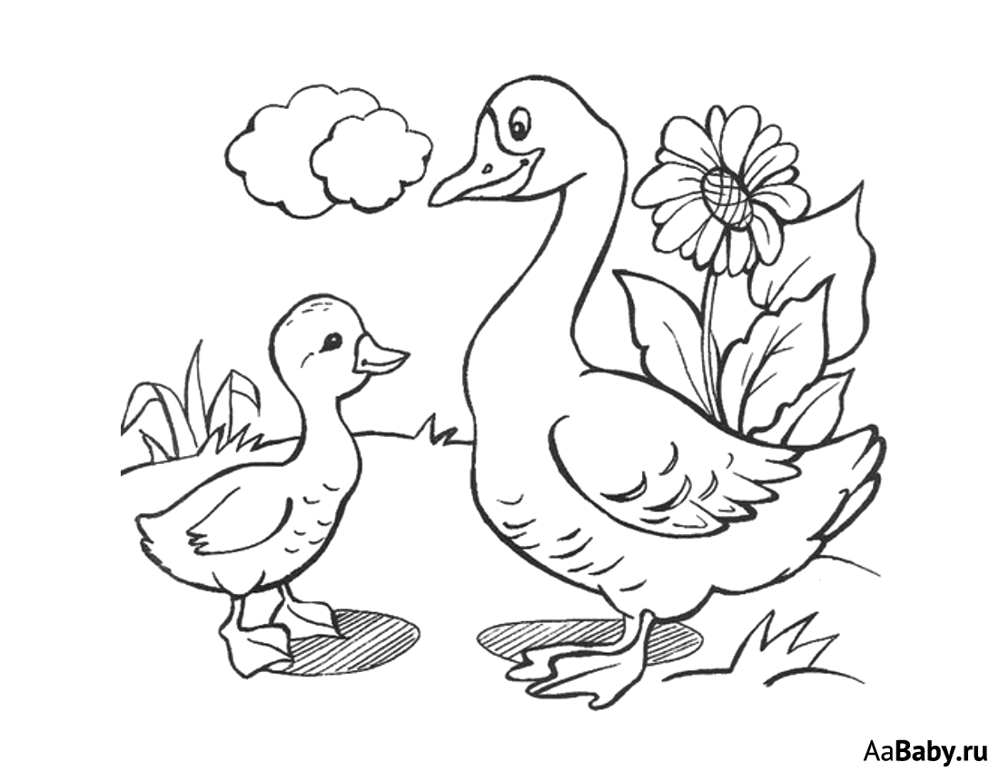 Гусыня с гусятами раскраска