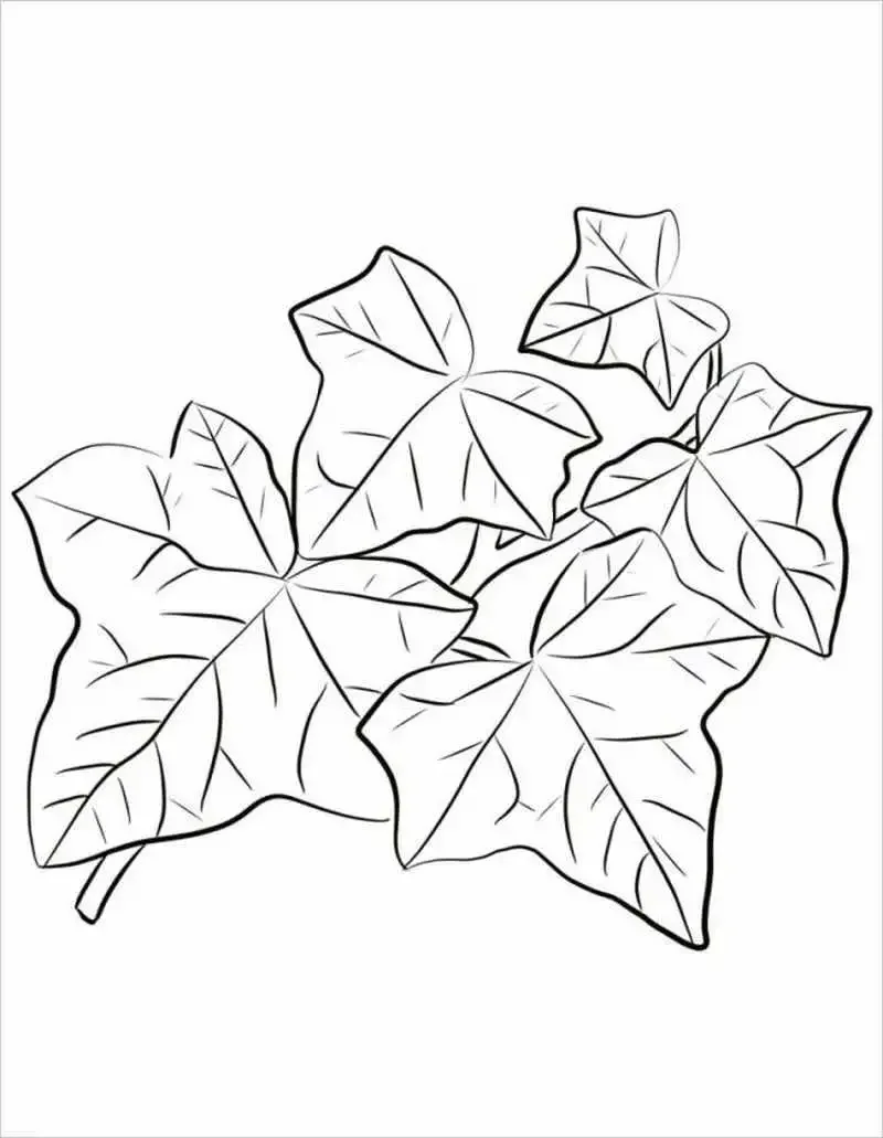 Щавель раскраска для детей