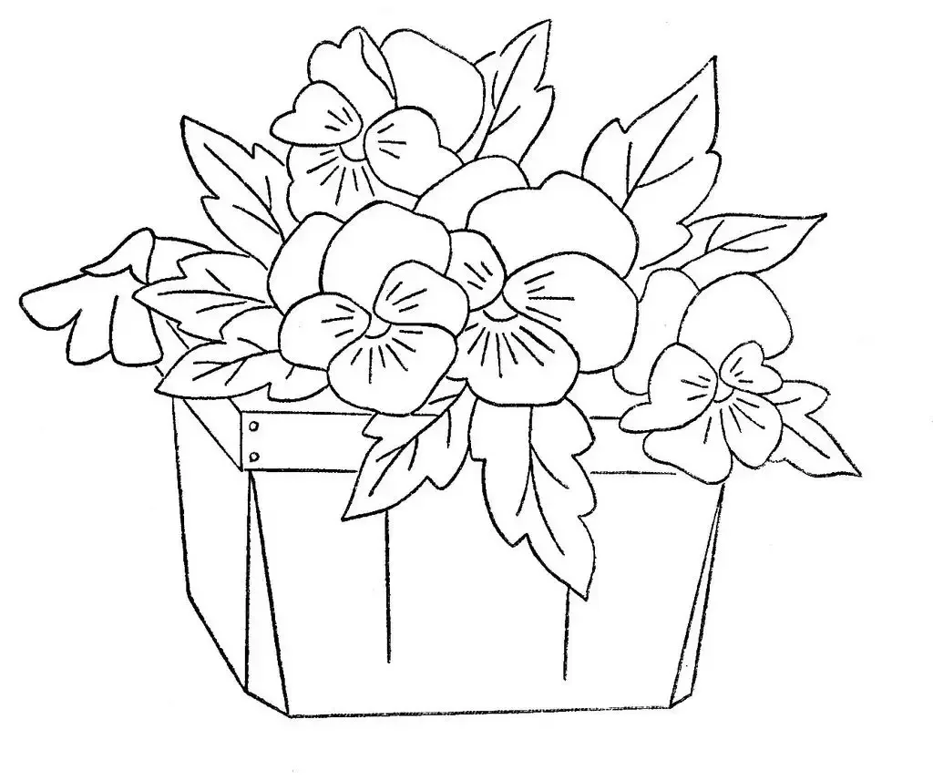 Кислица раскраска для детей