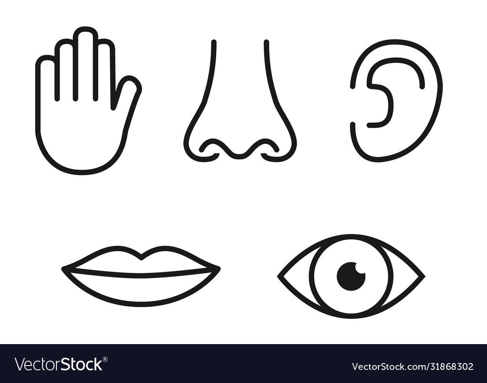 Глаз Графика