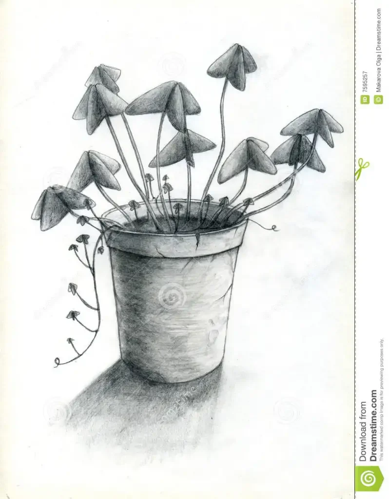 Нарисовать четырехлистный Клевер