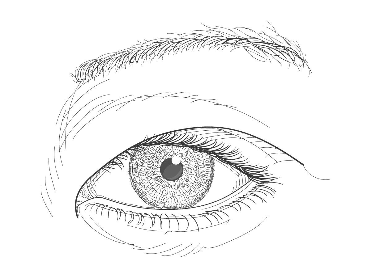 Глаза человека раскраска