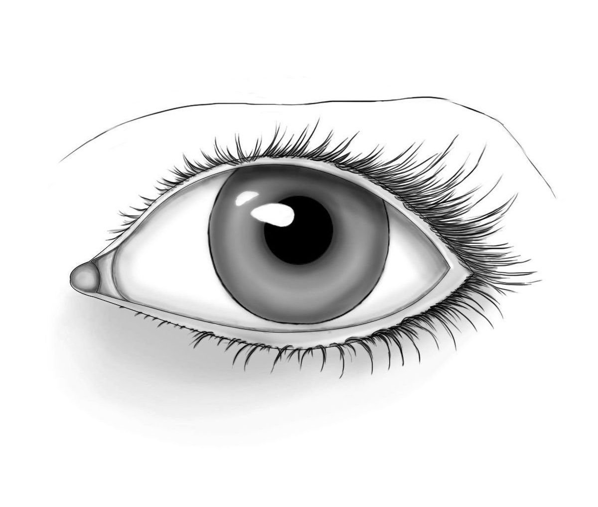 Глаз схематично