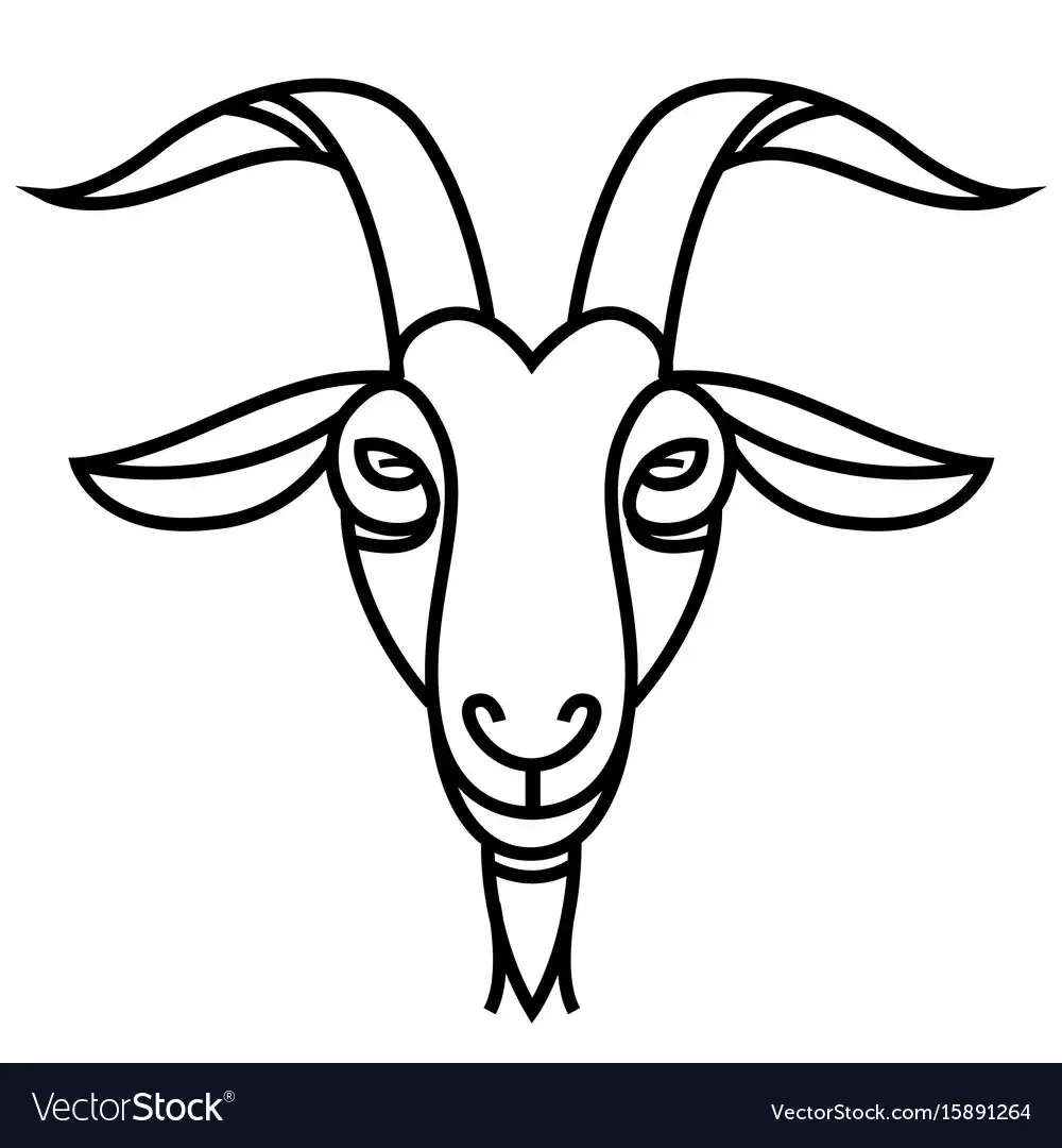 Морда козы рисунок