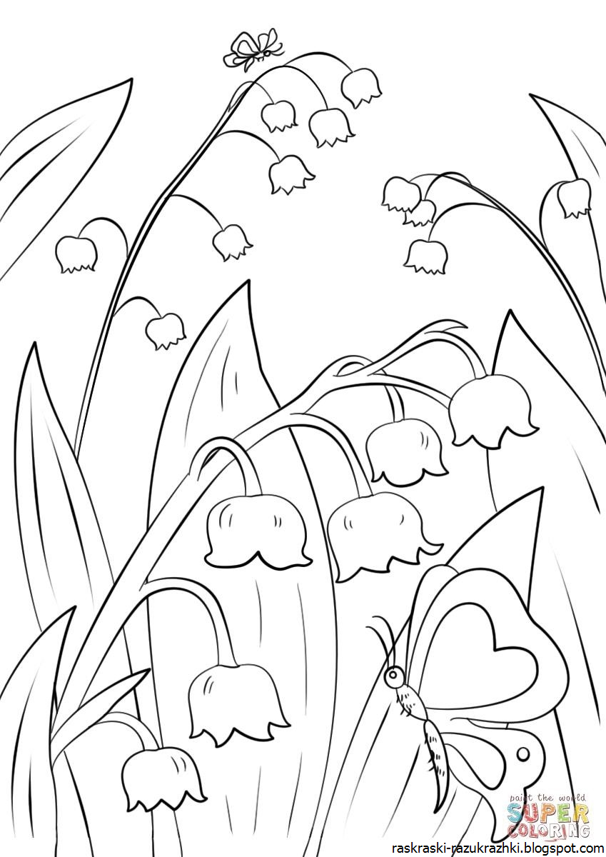 Раскраска. Весна