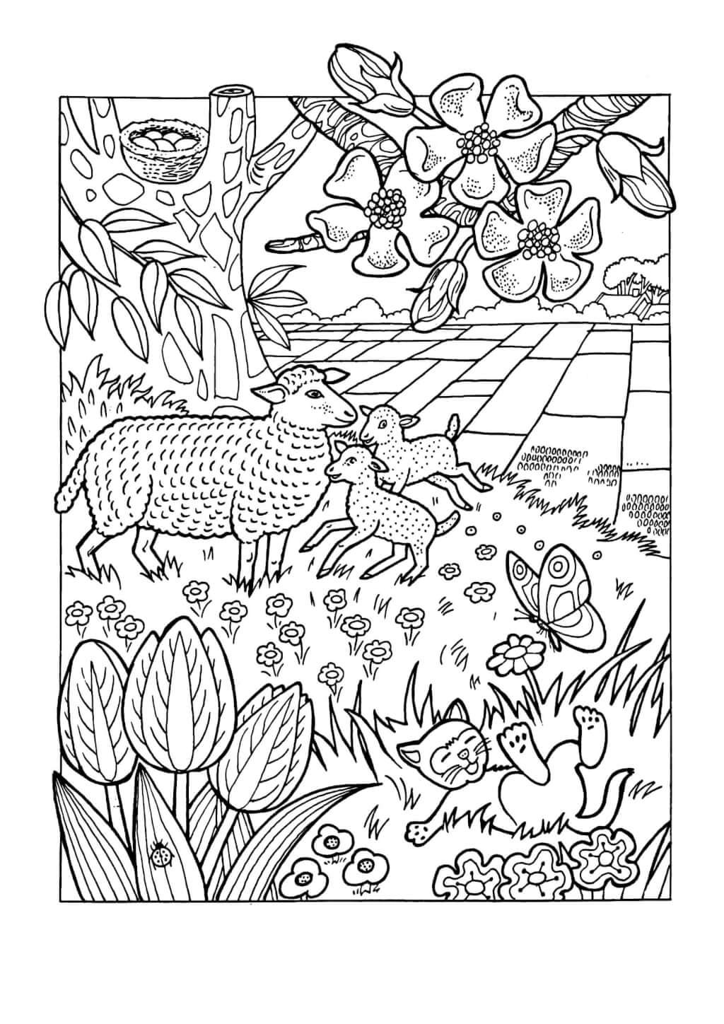 Раскраски Поляны для 19