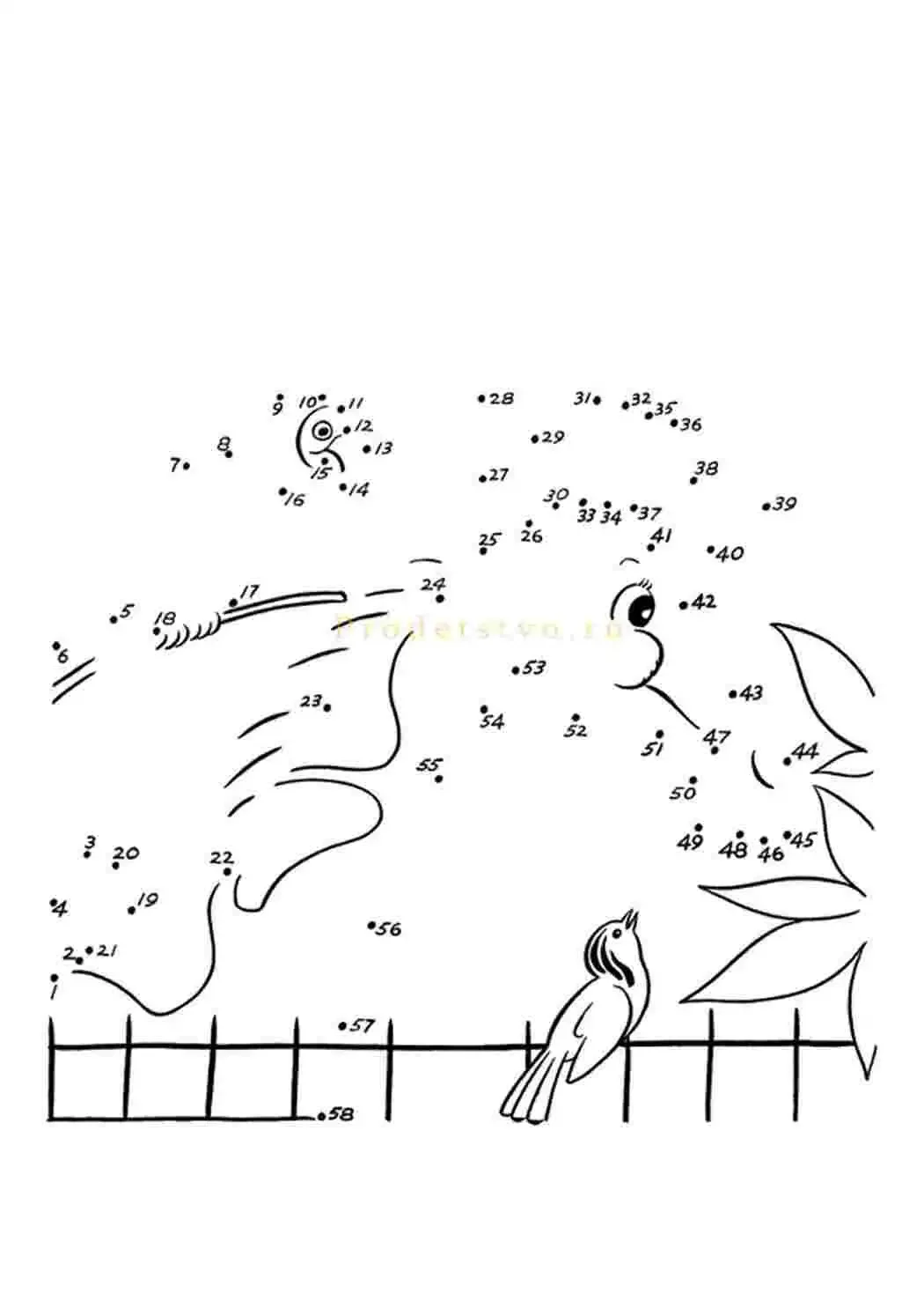 Раскраска обведи по цифрам